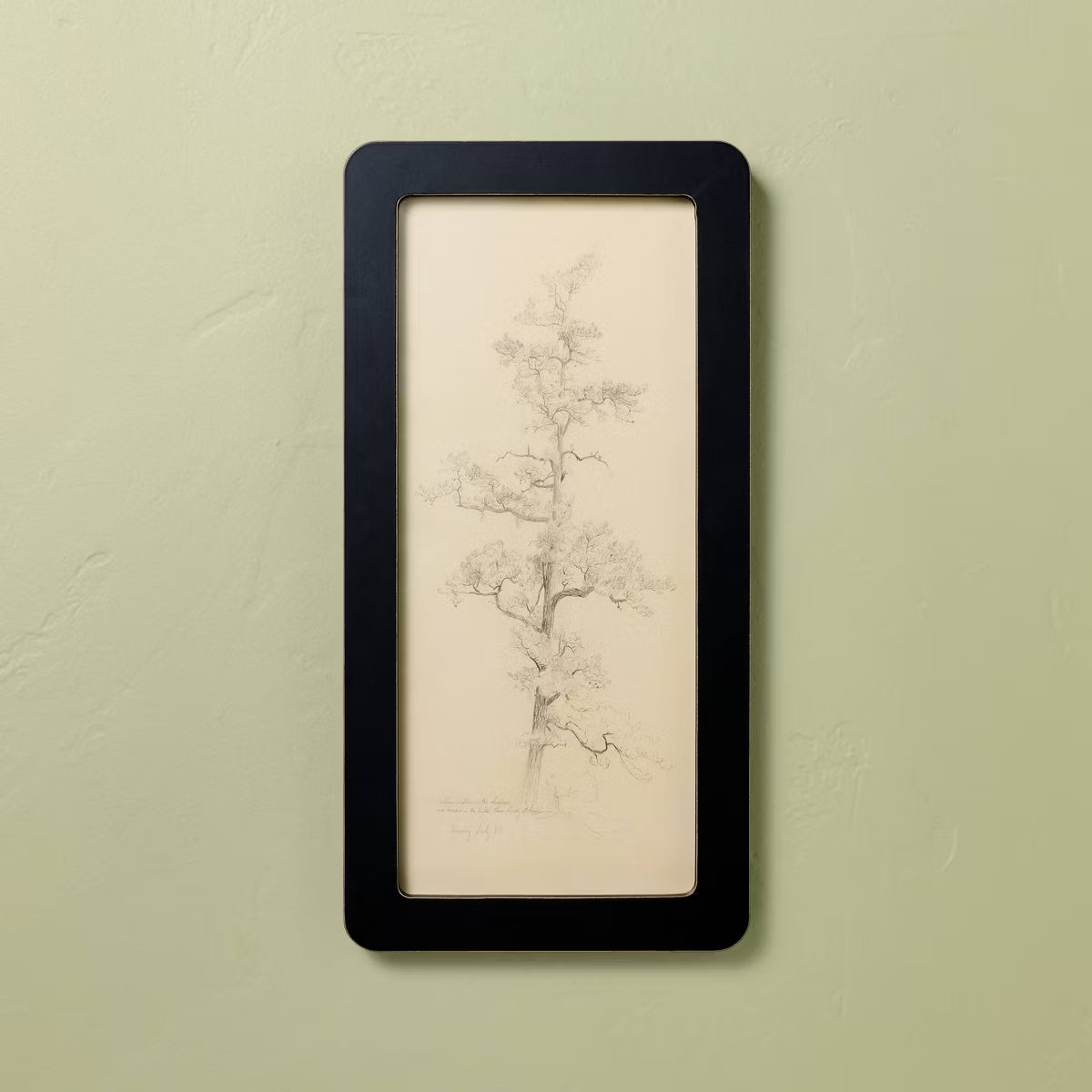 Sketched Tree Wall Art