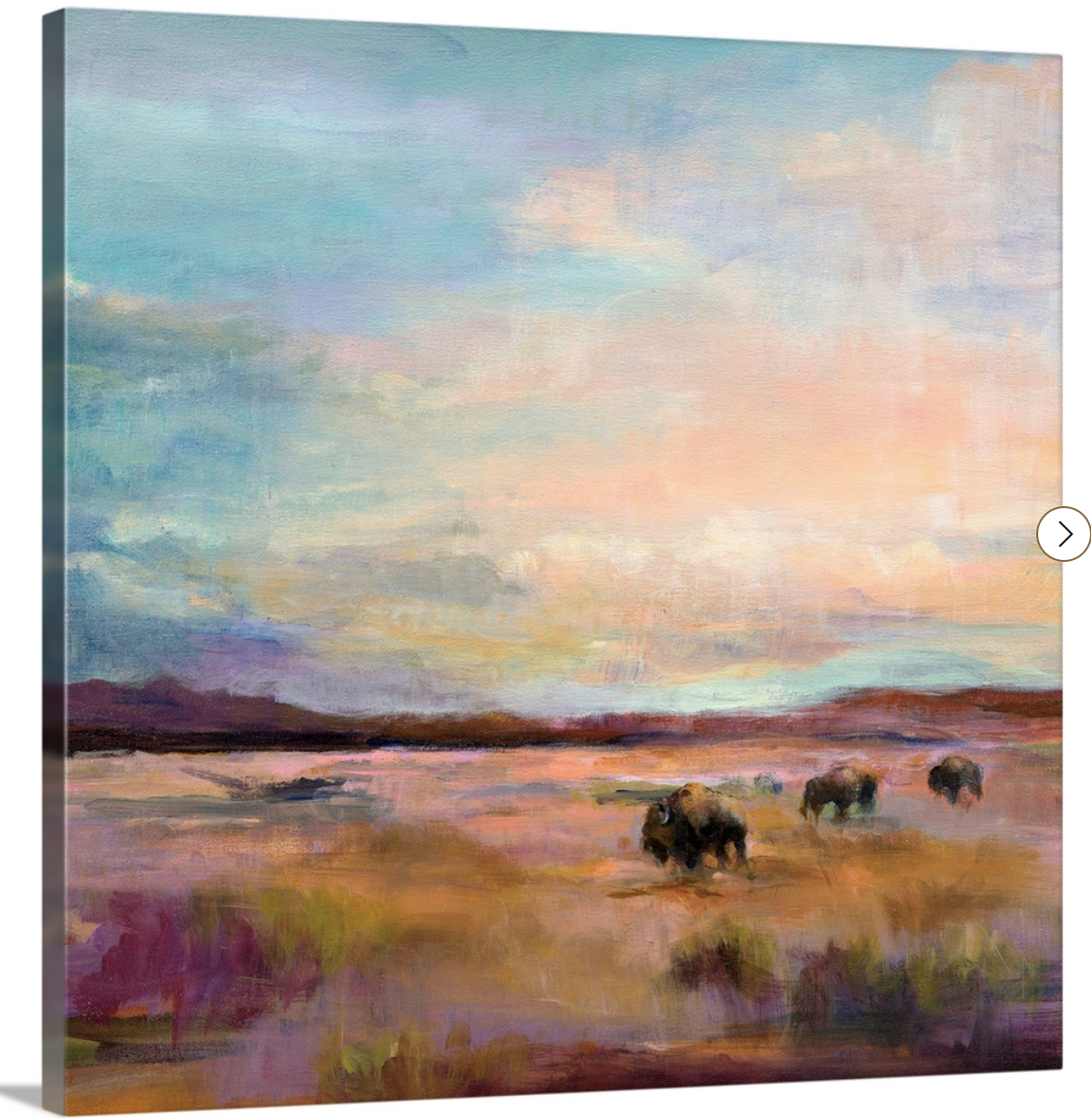 Buffalo Under The Big Sky Canvas