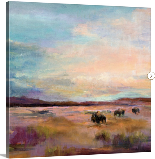 Buffalo Under The Big Sky Canvas