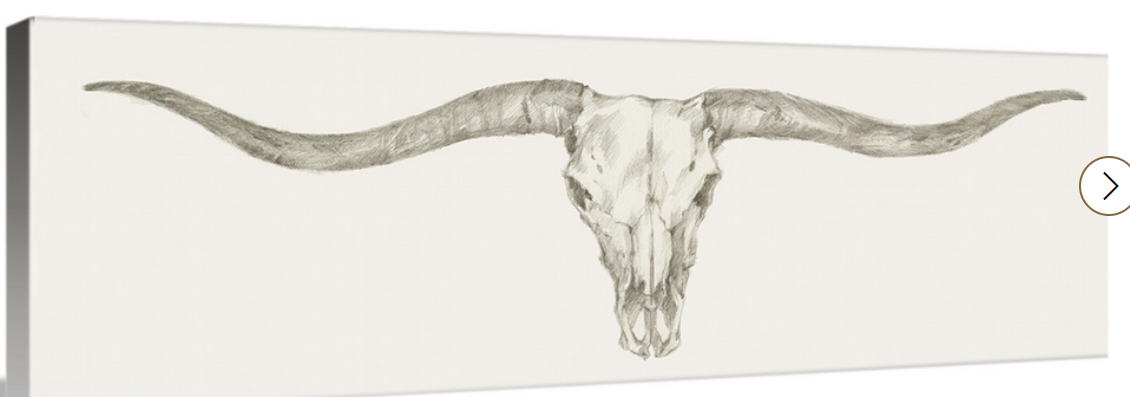 Western Skull Mount