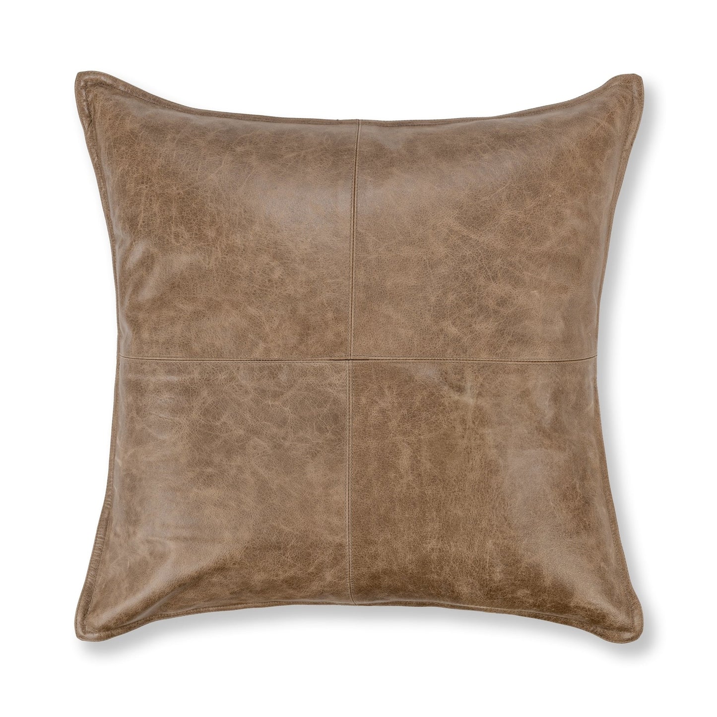 Sandstorm Pillow 22x22