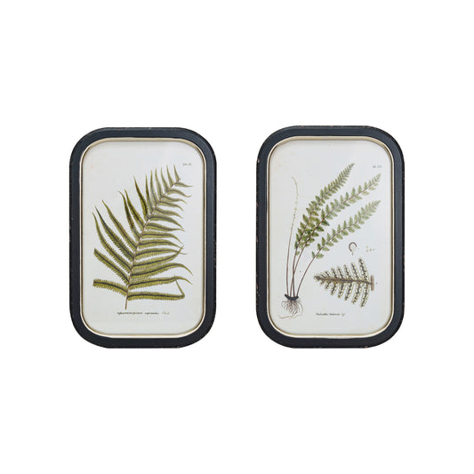 MDF Framed Wall Décor w/ Fern Fronds Image, 2 Styles