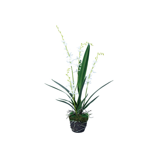 Faux Orchid w/ Faux Moss & Exposed Roots