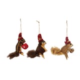 Squirrel in a hat Ornament